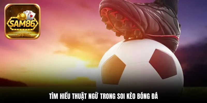 Soi Kèo Bóng Đá Là Gì? Kinh Nghiệm Đặt Cược Cực Chuẩn 1 Tìm hiểu thuật ngữ trong soi kèo bóng đá